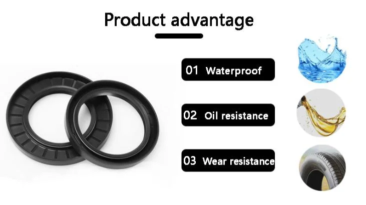 Cog Rubber Shock Absorber Oil Seal Tc/Sc NBR/FPM O Ring Gasket for Spare Parts